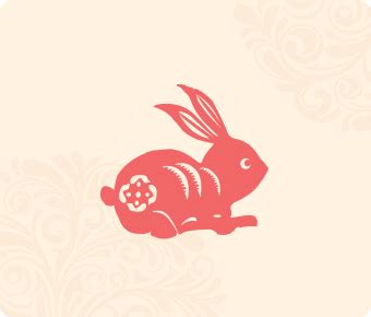 属兔的几月出生最好,属兔人出生月的命运 - 日历网