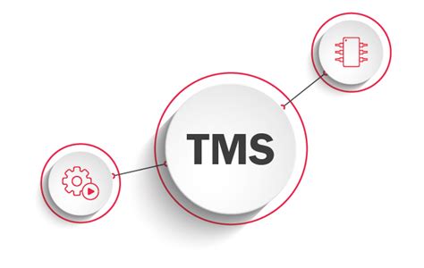 Image result for TMS Excel Example