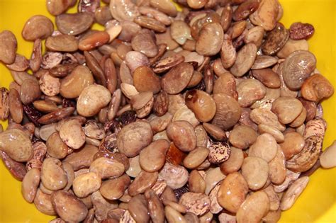 Deep South Dish: Southern Style Speckled Butter Beans