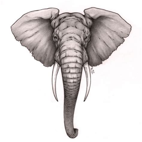 Image result for Elephant Toothpasste Exploding