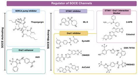 STIM/Orai-Mediated Store-Operated Ca2+ Entry in the Pathogenesis of ...