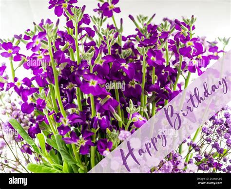 Purple Happy Birthday Flowers