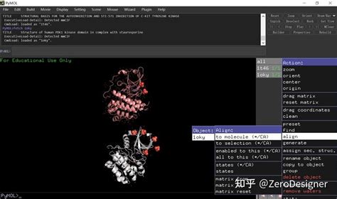 PyMOL Structure Alignment 的图像结果