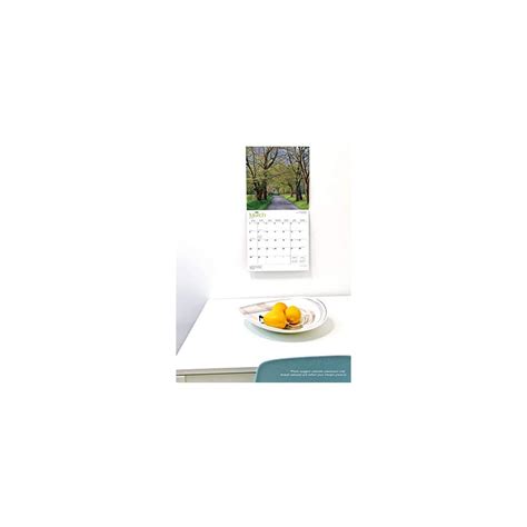 Buy Rhodesian Ridgebacks 2020 12 x 12 Inch Monthly Square Wall Calendar ...