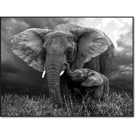 Elephant Mother and Baby Wall Art | American Signature Furniture