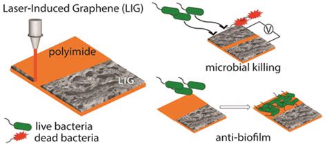 Research | Swatantra