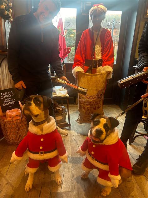 Here Comes Santa Paws, Green Lodge Hotel, Wallasey, 21 December 2024 ...