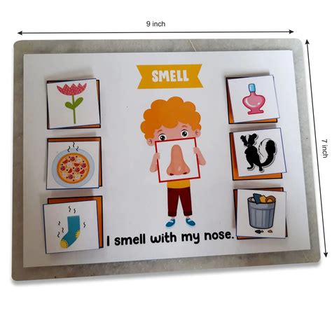 Buy 5 Senses Sorting Activity Game - SkilloToys.com