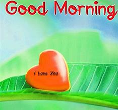 Image result for Good Morning I Love You with Flowers