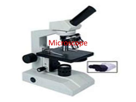 Microscope Example Slide 的图像结果