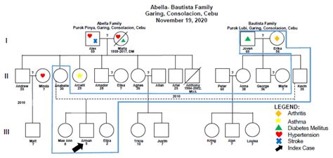 Image result for Client Genogram