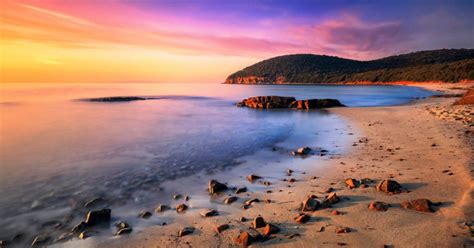 Suoni a Cala Violina. Escursione guidata a Cala Violina, Toscana