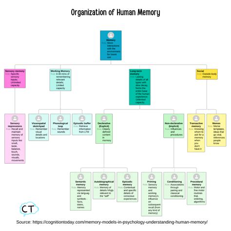 Image result for Learning vs Memory
