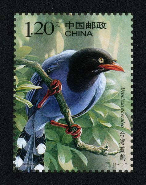 中国鸟（T）|邮票目录|邮来邮网