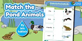 Foundation Phase-Wild Animals - Mind Map: Animals That Burrow