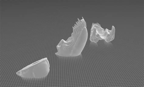 Alien Queen Skull 的图像结果