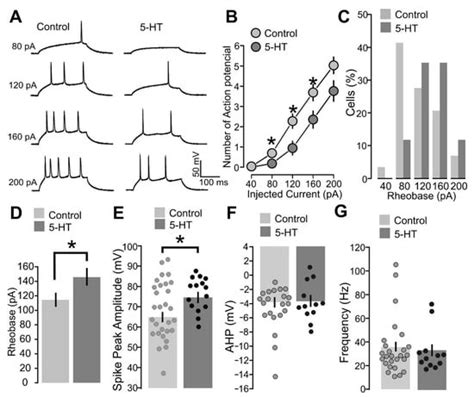 Serotonergic Modulation of the Excitation/Inhibition Balance in the ...