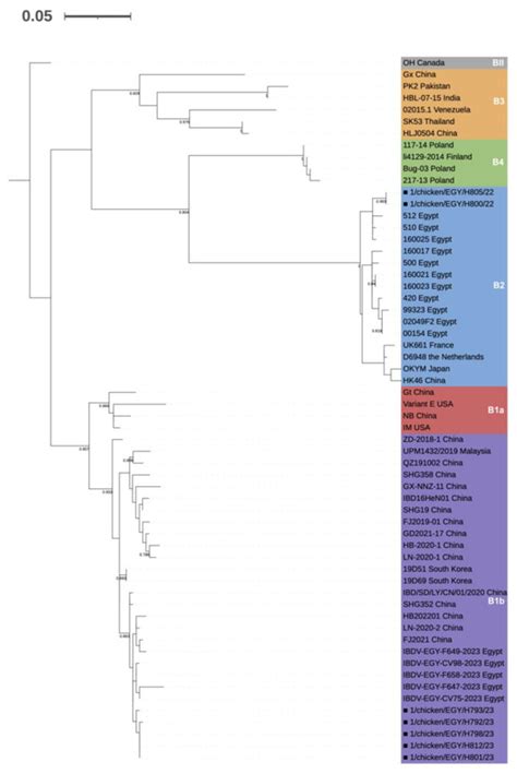 First Detection and Molecular Characterization of Novel Variant ...