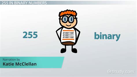 What is 255 in Binary? - How-to & Steps