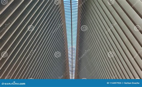 Image result for Oculus Ceiling