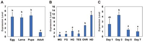 Insects | Special Issue : Arthropod Reproductive Biology