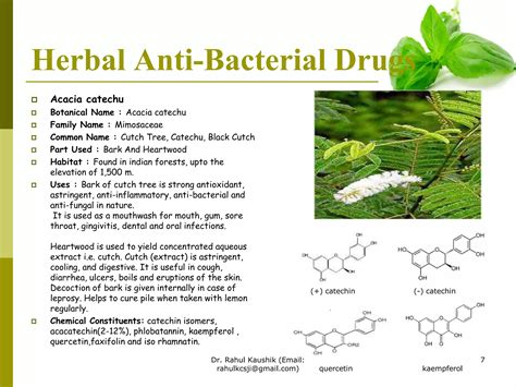 Herbal antibacterial drugs | PPTX