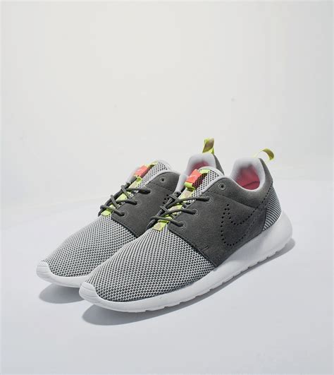 Trainers 的图像结果