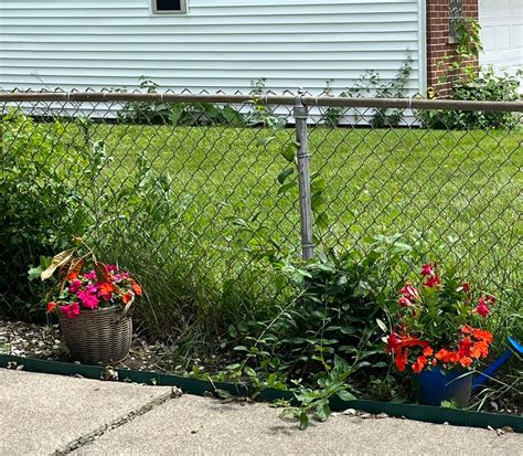 15 Best Cheap Fence Ideas