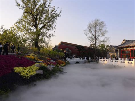 春天北京4处踏青赏花景点，藏着紫禁城最美的古韵，你去过几处？__凤凰网