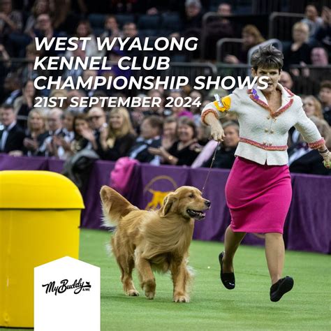 My Buddy And Me on LinkedIn: #mybuddyandme #petcare #petshampoo # ...