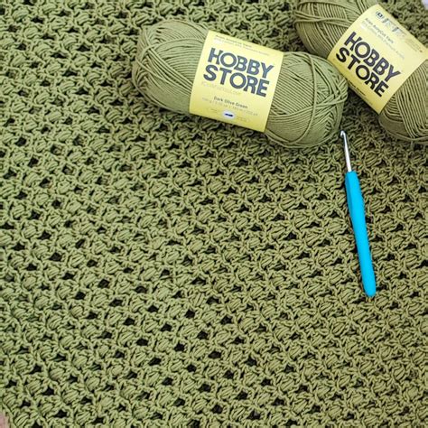 Aran AcryCot Yarn by Hobby Store - Sage Green 11050 – Magic Needles