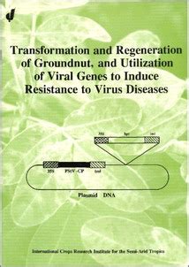 Transformation and Regeneration of Groundnut, and Utilization of Viral ...