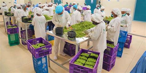 Fresh Taste Produce 的图像结果