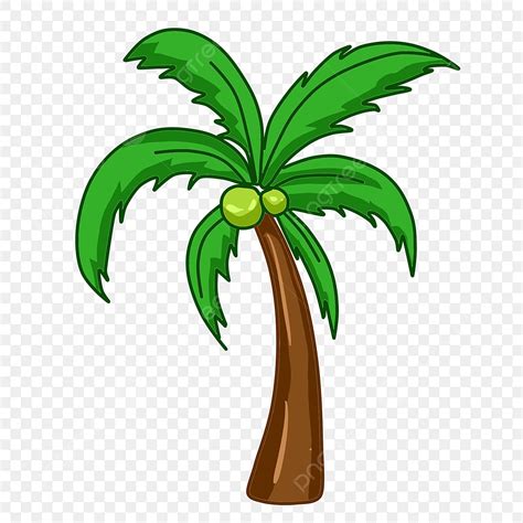 Whole Coconut Clip Art