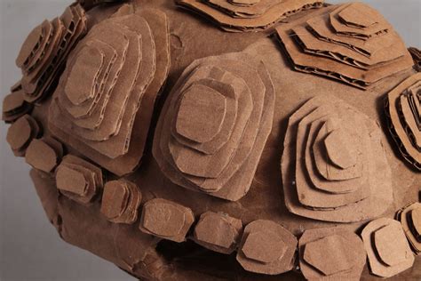 Image result for Cardboard Turtle Shell