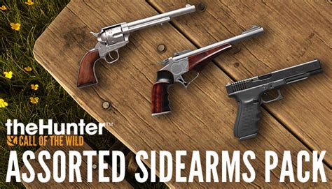 theHunter: Call of the Wild™ - Assorted Sidearms Pack | Steam Game Key ...