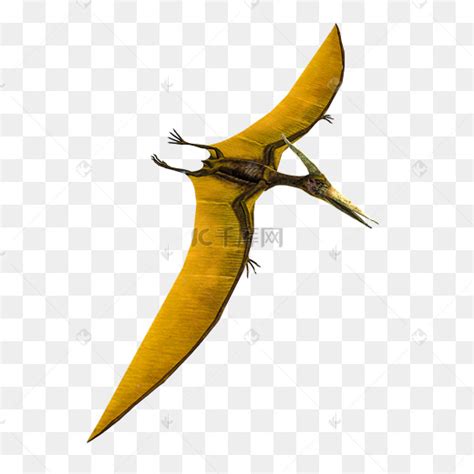 Tapejara, un ptérosaure du jurassique à la crête... originale | Animaux ...