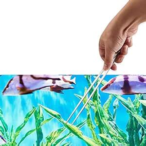 Western Era Aquarium 38cm Straight Tweezer,Fish Tank Landscaping ...