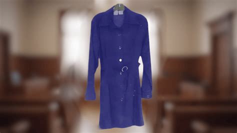 Monica Lewinsky’s Blue Dress: DNA Evidence & Impeachment - Copenhagen ...