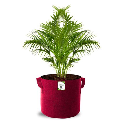 Buy 12x12 inch Geo fabric grow bags online at best price