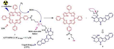 Enhancing Precision in Photodynamic Therapy: Innovations in Light ...