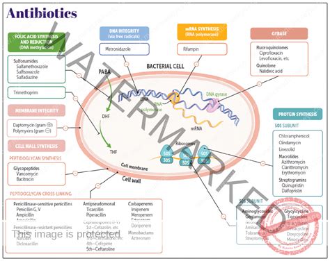 Image result for Encapsulation Security Example Image Simple