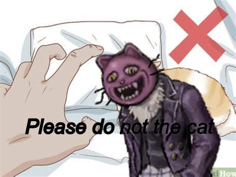 please do not the cat : r/FearAndHunger