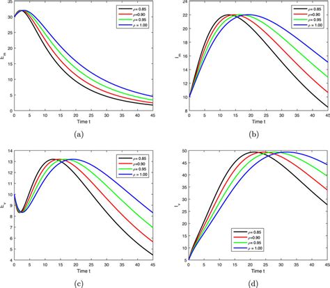 Image result for Fractional Scale Example