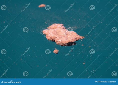 Blue Whale Red Feces Krill Excrement Stock Photo - Image of aquatic ...