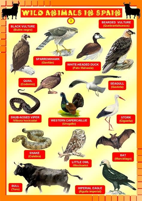 BILINGUAL AL-YUSSANA: WILD ANIMALS IN SPAIN