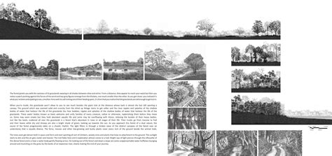 The River and its Dominion | CEPT - Portfolio