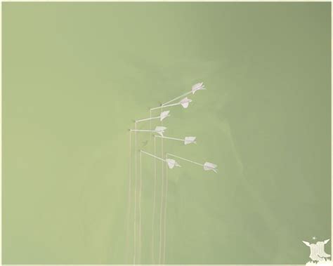 «Modest Mouse» HD Wallpapers