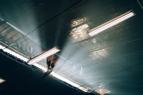 Image result for Chasing Light Raspberry Pi