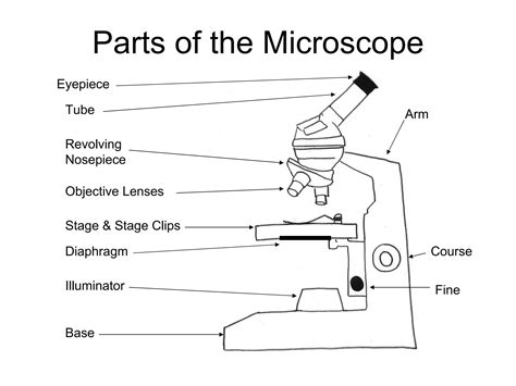 Explanation for Microscope CBSE 12 的图像结果